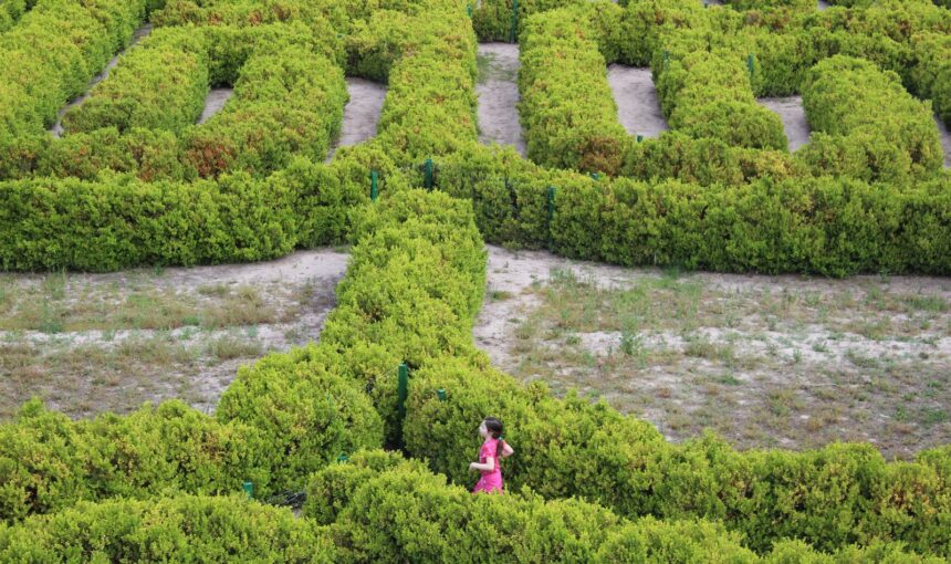 San Rafael: El Paraíso Familiar de Mendoza, Donde la Aventura es para Todas las Edades